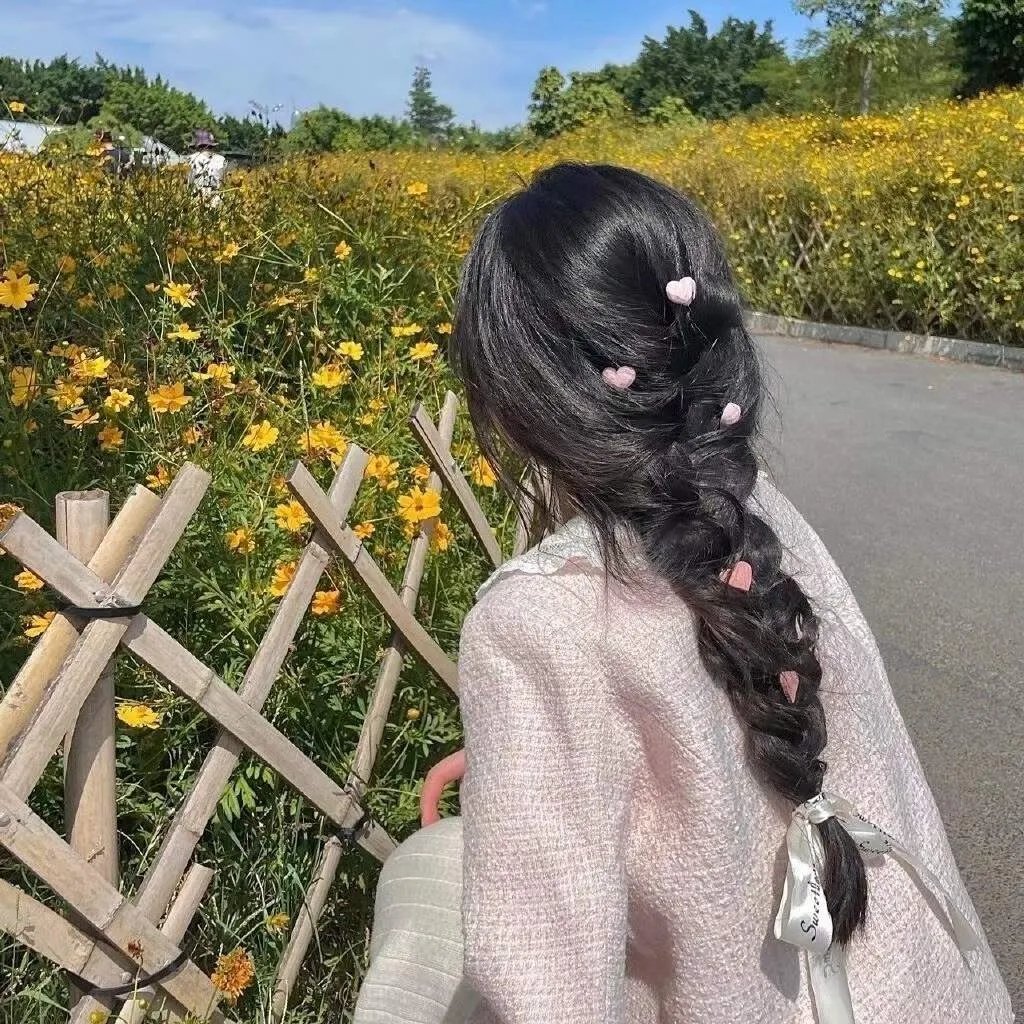 布格迪先生